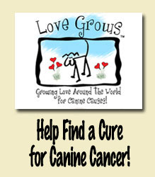 lovegrows Love Grows™ Campaign - canine cancer cure